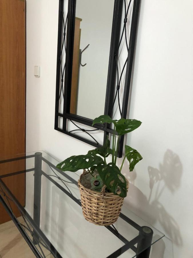 Moschoula Studios Plaka Plaka  Экстерьер фото